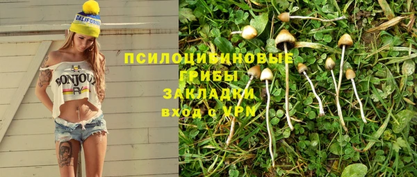MDMA Premium VHQ Новозыбков