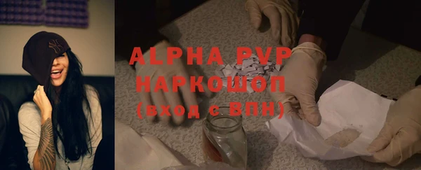 шишки Абаза
