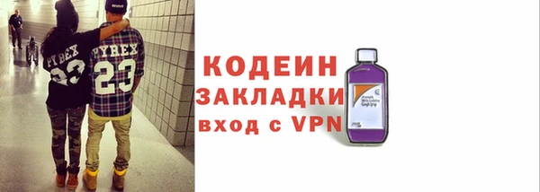 шишки Абаза