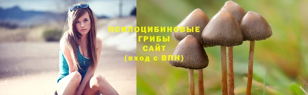круглые Новодвинск