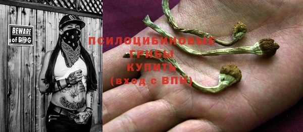 2c-b Алексеевка