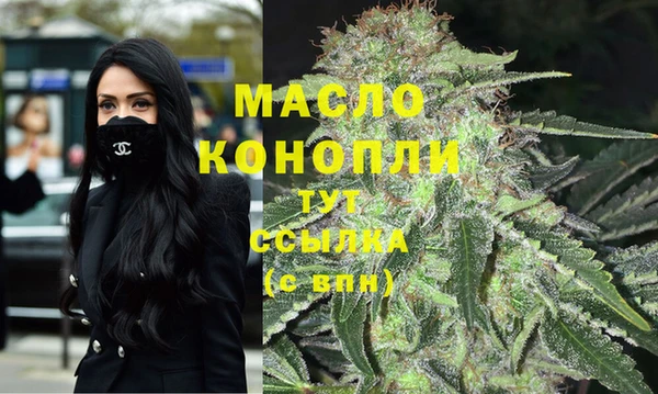 шишки Абаза