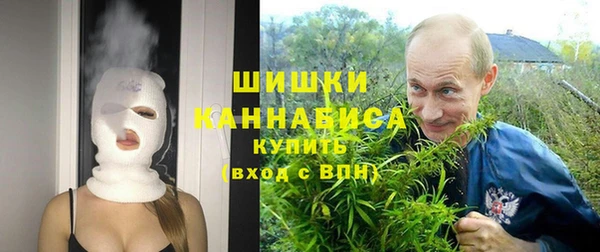 круглые Новодвинск