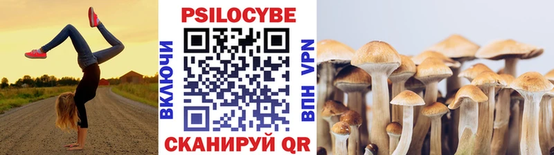 МЕГА ссылки  что такое наркотик  Тбилисская  Галлюциногенные грибы мицелий 
